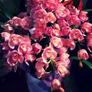 ろーず✴︎プロフ必読の画像