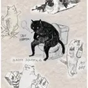 COMCATの画像