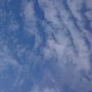 そーにゃの画像