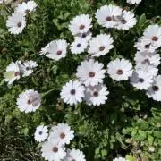 よもぎ★プロフ必読の画像