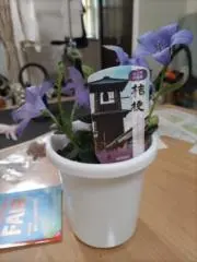 くぅもも