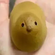 白玉の画像