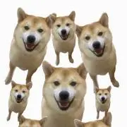 haru
