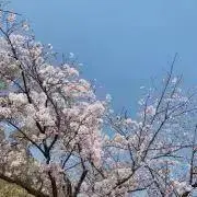 mさんの画像