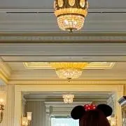 ぽんぬの画像