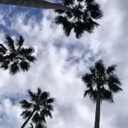 YNO.お値下げ⭐︎まとめ売り大歓迎⭐︎の画像