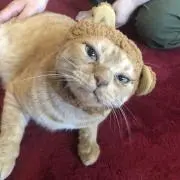 白黒