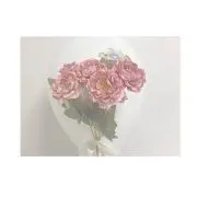 s.f ❥︎の画像
