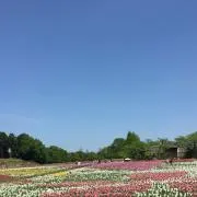 カズの画像