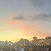 ナコの画像