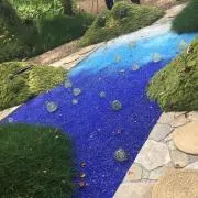 まろの画像