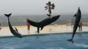 きりぃの画像