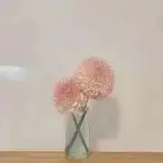 美月@セール開催中〜！6/16までの画像