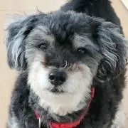 ざわざわくん