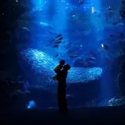 オシャナナ