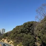 みかん