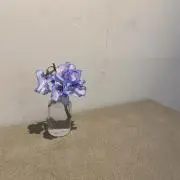 結の画像
