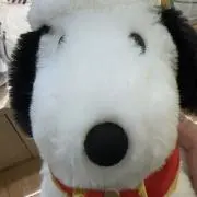 呂久ナナの画像
