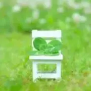 よつばの画像