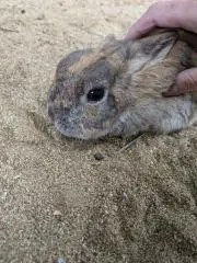 ゆりえ(⁠ ⁠◜⁠‿⁠◝⁠ ⁠)⁠♡の画像