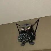 ひの画像