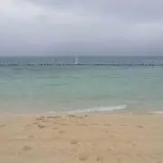Ma-C 即購入歓迎