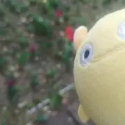 yyの画像