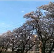 ゆう