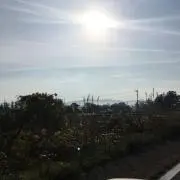 ☆ステラ☆の画像