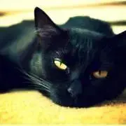 mana
