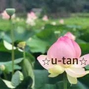 ⭐︎U-TAN⭐︎の画像
