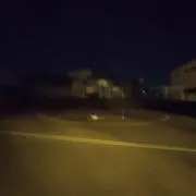 ショーゴの画像