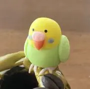 あおむしの画像