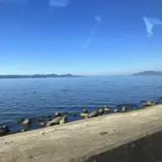 まーの画像