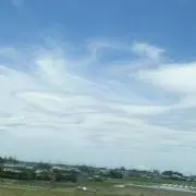 山本の画像