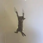 やまだの画像