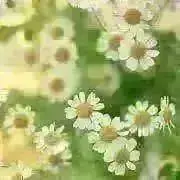 ☺︎☺︎の画像