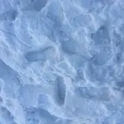 Tomoの画像