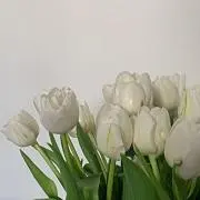 りりの画像
