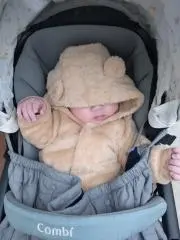 たすくまの画像