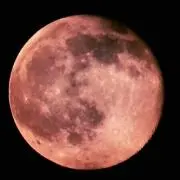 ヒロ
