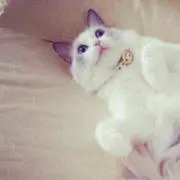 すず。
