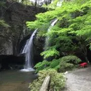 cha-yamaの画像