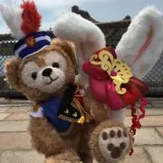 しーちゃんの画像