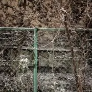 はちみつ