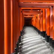 nanoの画像