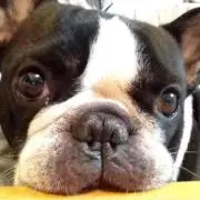 ゆー