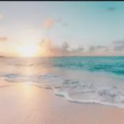 araの画像