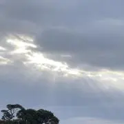 ☆りぃちゃん☆の画像