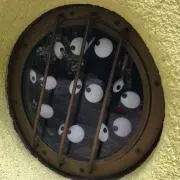 めれんげの画像